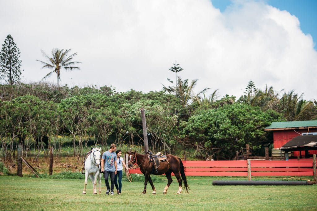 Horseback Rides Gunstock Ranch Horseback Riding & Tours in Oahu