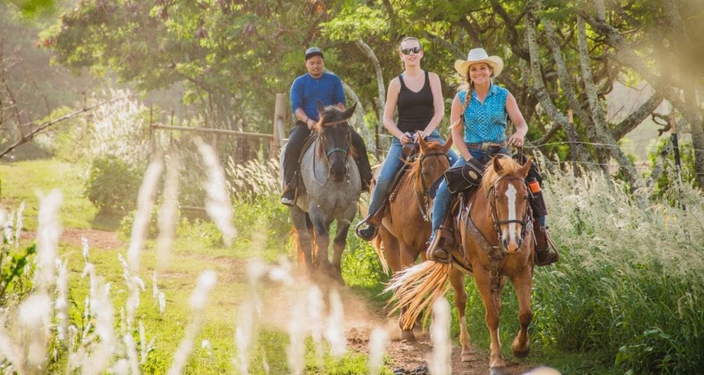 Gunstock Ranch Horseback Riding & EcoTours in Oahu