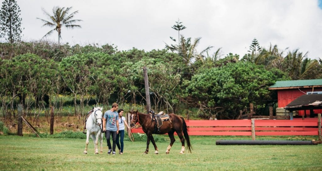 Gunstock Ranch Horseback Riding & EcoTours in Oahu