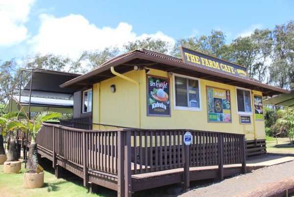 This image portrays North Shore Food Guide: Gunstock’s Favorites by Gunstock Ranch.
