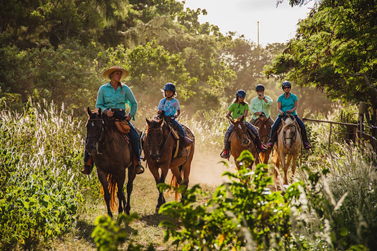 What to Wear Horseback Riding in Hawaiʻi