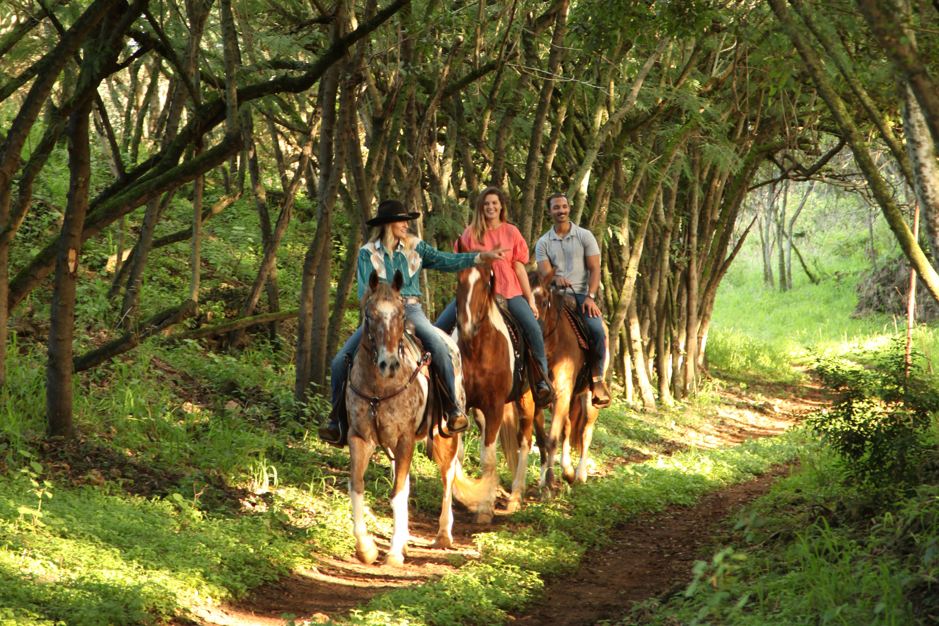 Best Outdoor Activities on Oahu This Winter