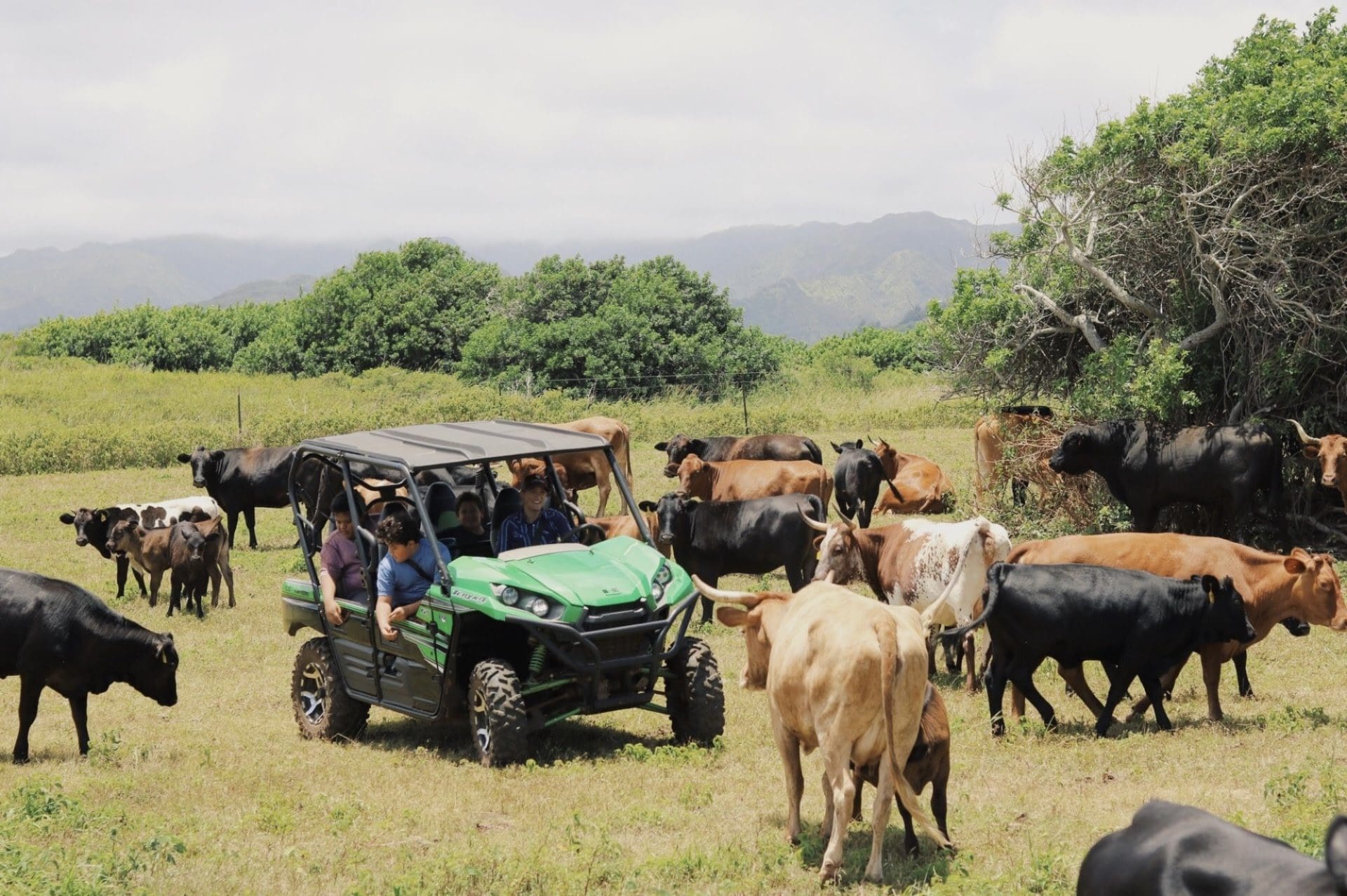 Top Outdoor Activities for Families Visiting Oahu