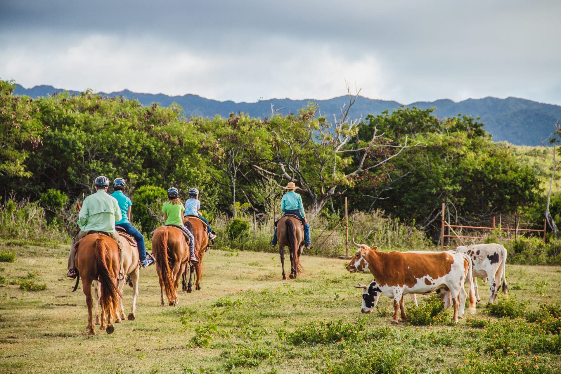 Why Ranch Life Teaches Responsibility, Respect & Connection