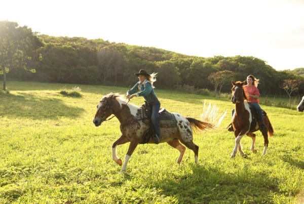 This image is by Gunstock Ranch.