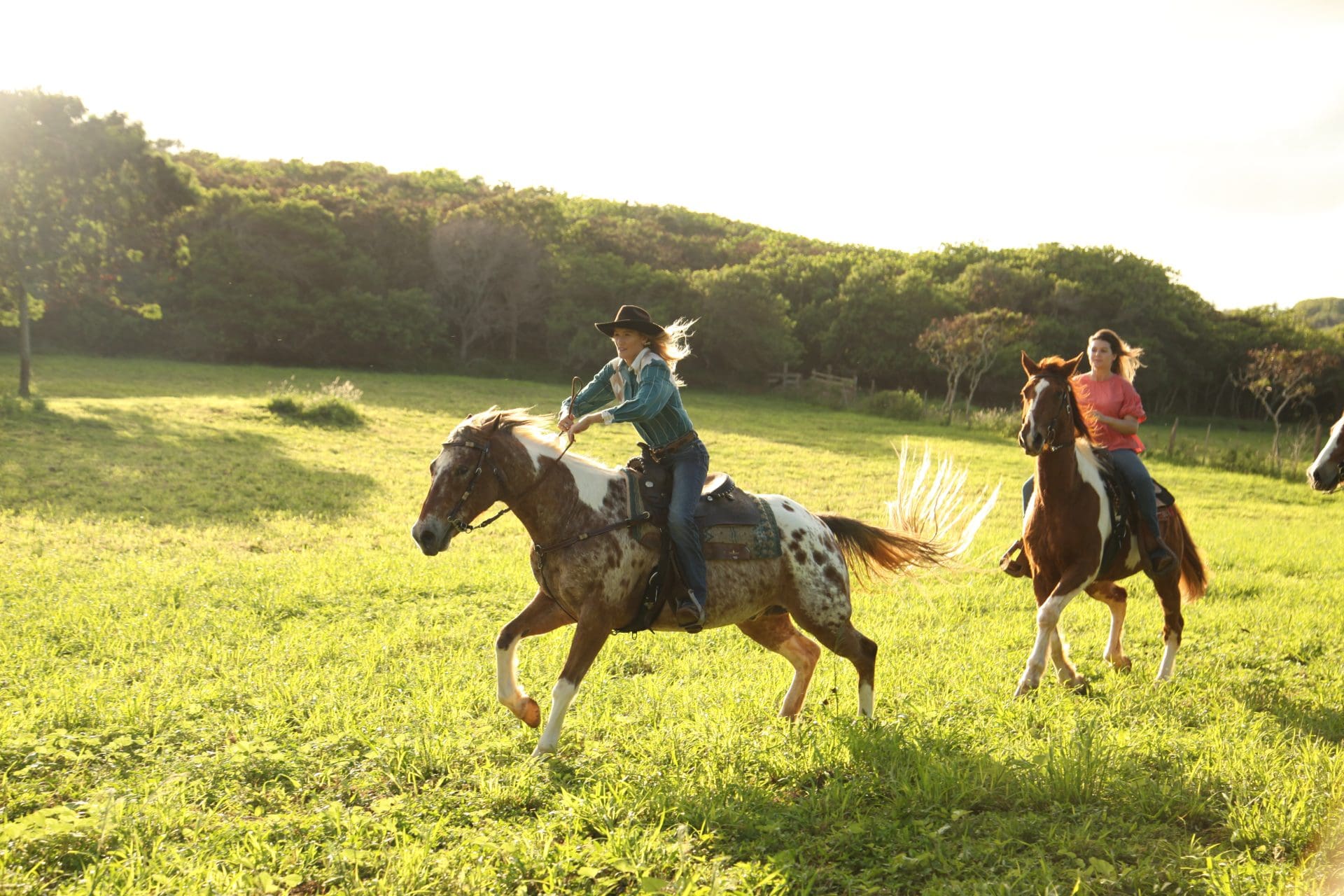 Advanced Horseback Riding on Oʻahu